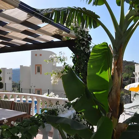Bodrum Holiday Villas Villa *