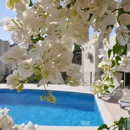 Villa Bodrum Holiday Villas *